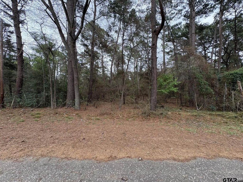 142 Timber Bluff Rd, Bullard