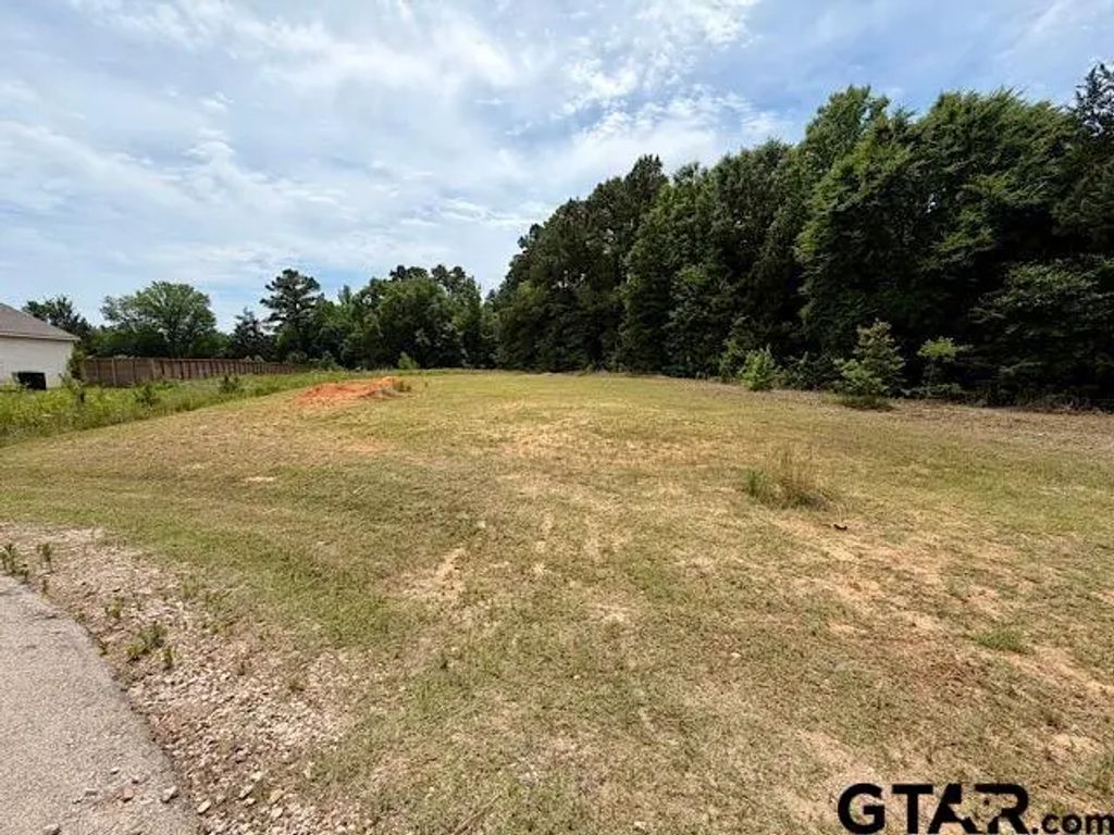 14973 Turtle Creek Ranch Road, Flint