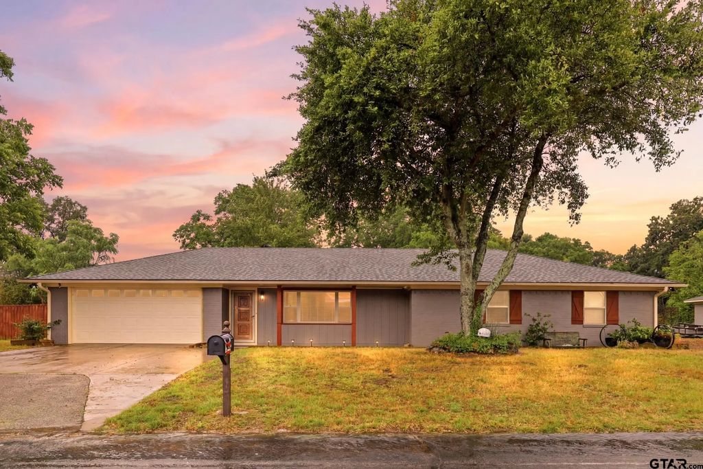 3217 Libbie, Tyler