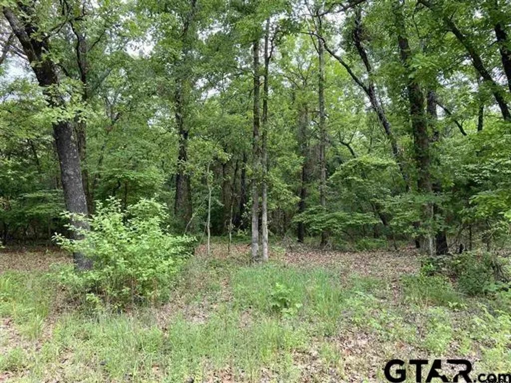 23526 Fm 1995, Lindale