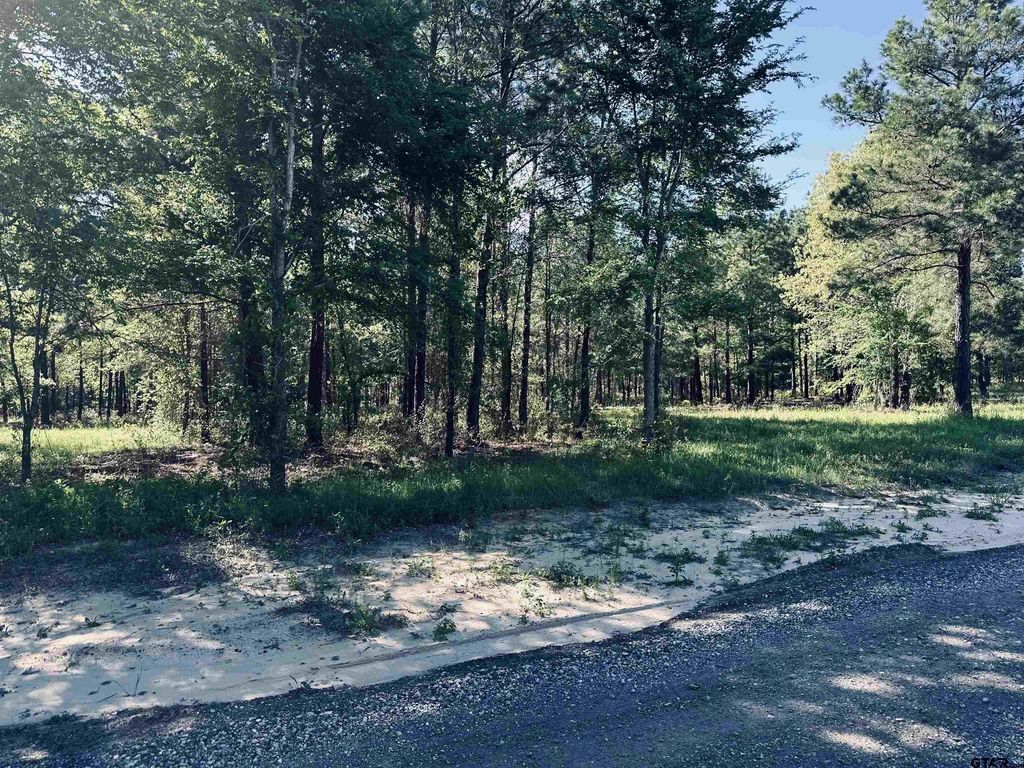 2605 N Fm 346, Bullard