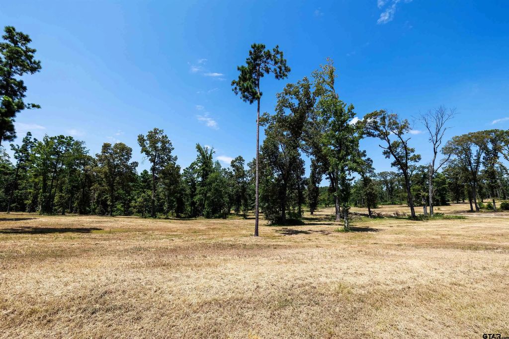 15702 Aniston Ln - (lot 24), Flint