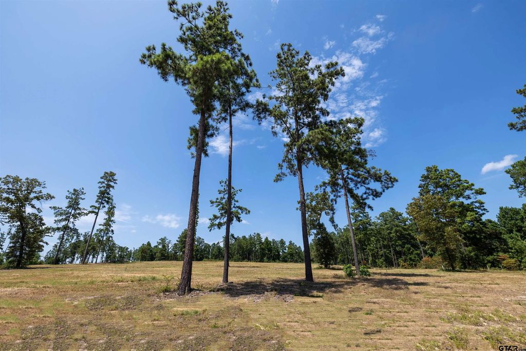 15482 Aniston Ln - (lot 28), Flint