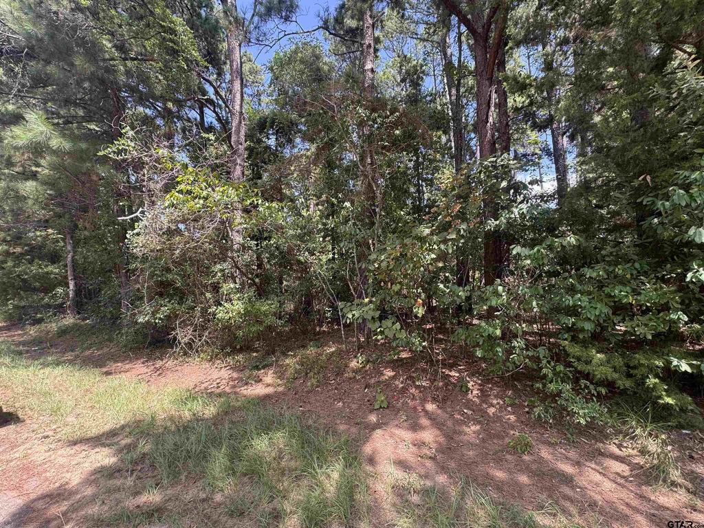 352 Neches Dr, Bullard
