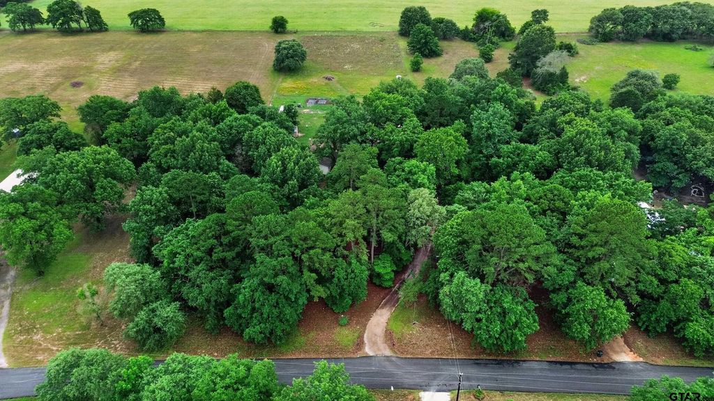 16884 County Road 3147, Tyler