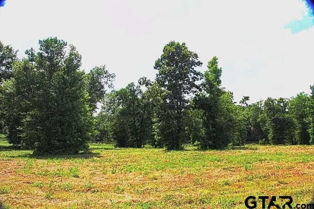 865 Stone Chimney Rd. (lot 7 Cr 3608), Bullard