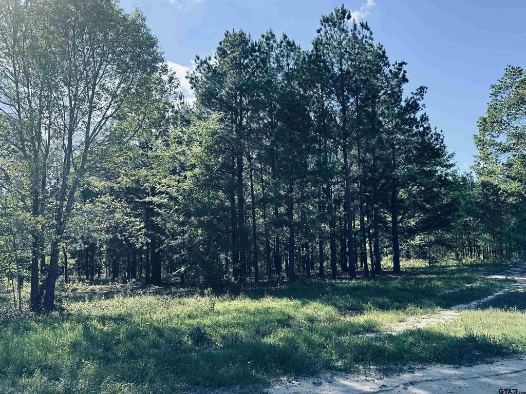 2609 N Fm 346, Bullard