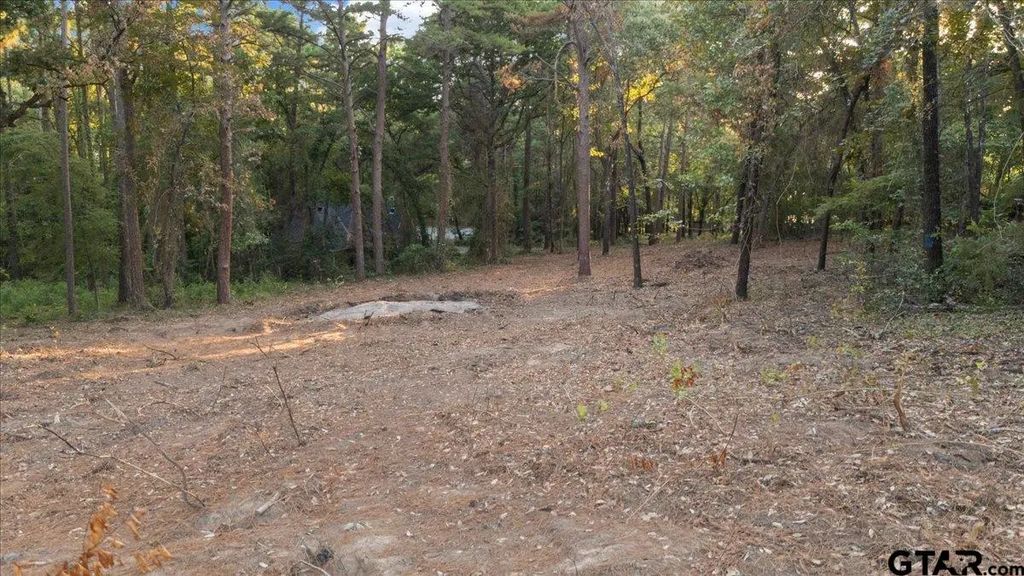 20722 Lakeview Dr., Flint