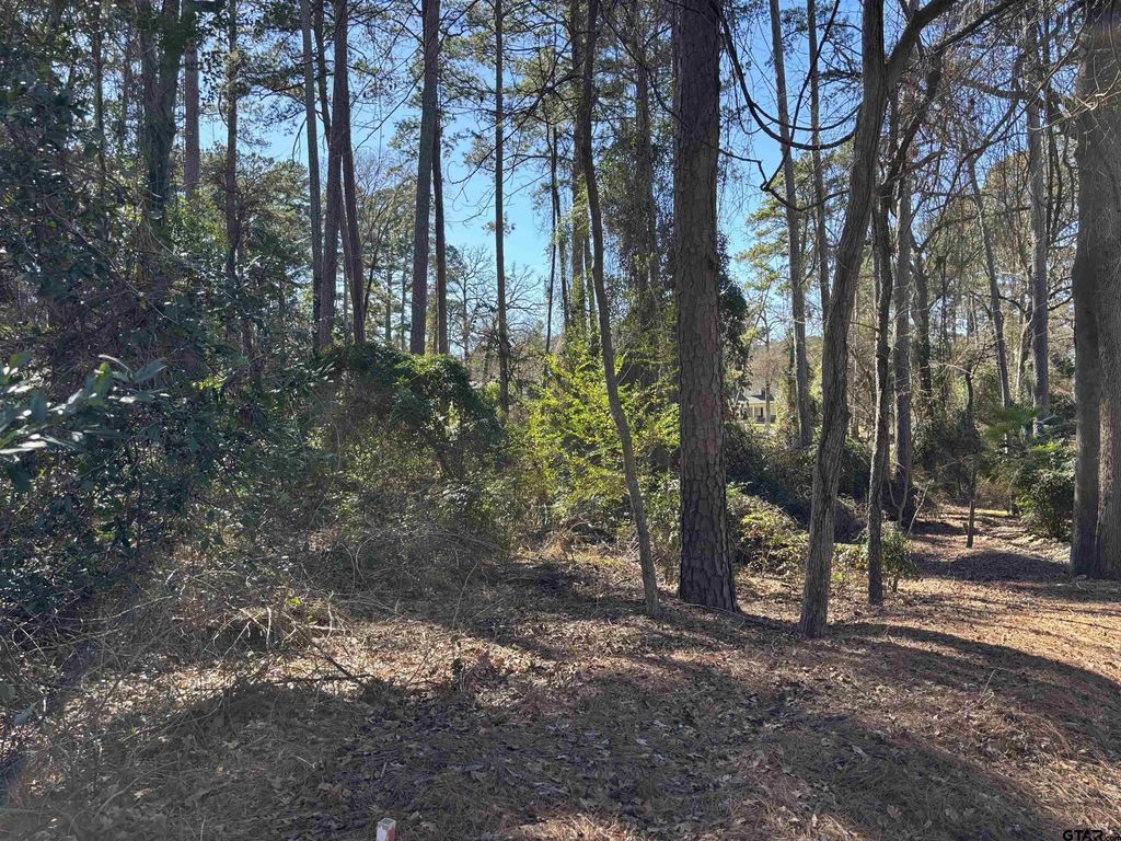 Lot 17 Greenwood Trl, Bullard