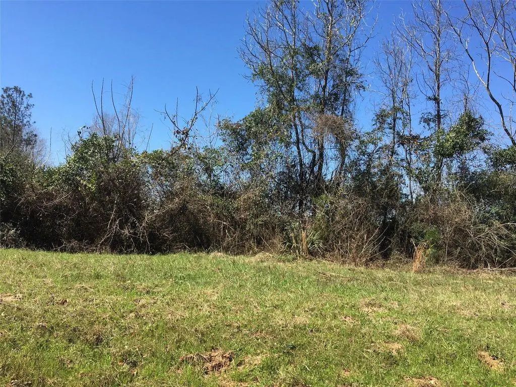 Lot 11 County Road 175, Nacogdoches