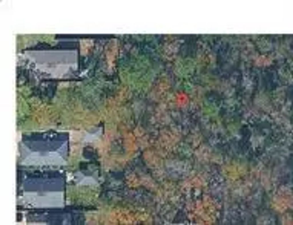 5723 Bobby Burns Street, Houston
