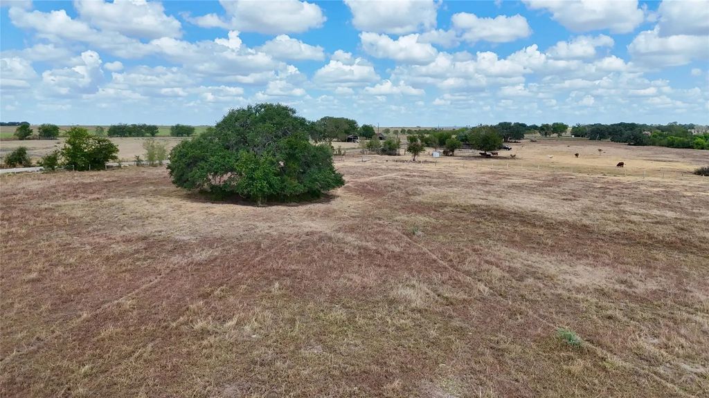 Tract 2 County Road 366, Shiner