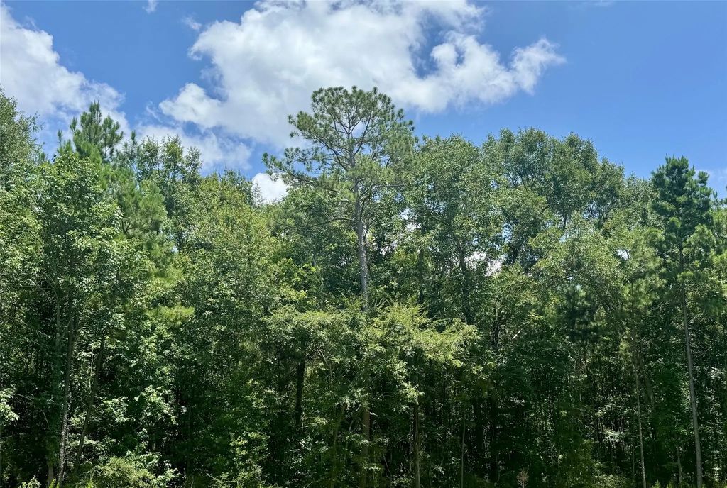Lot 15 Riverstone Drive, Livingston