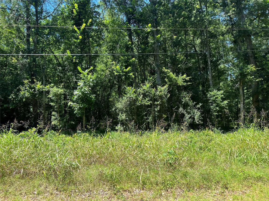 Holt Street, Coldspring