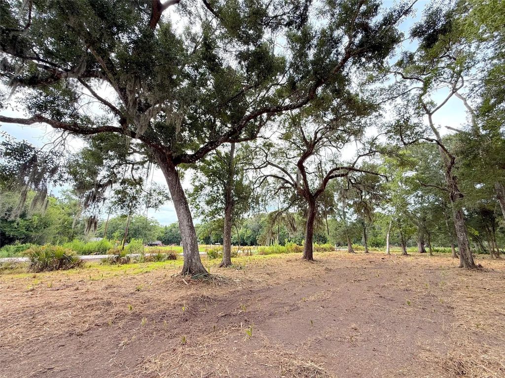 Lot 12a1 Cr 345, Brazoria