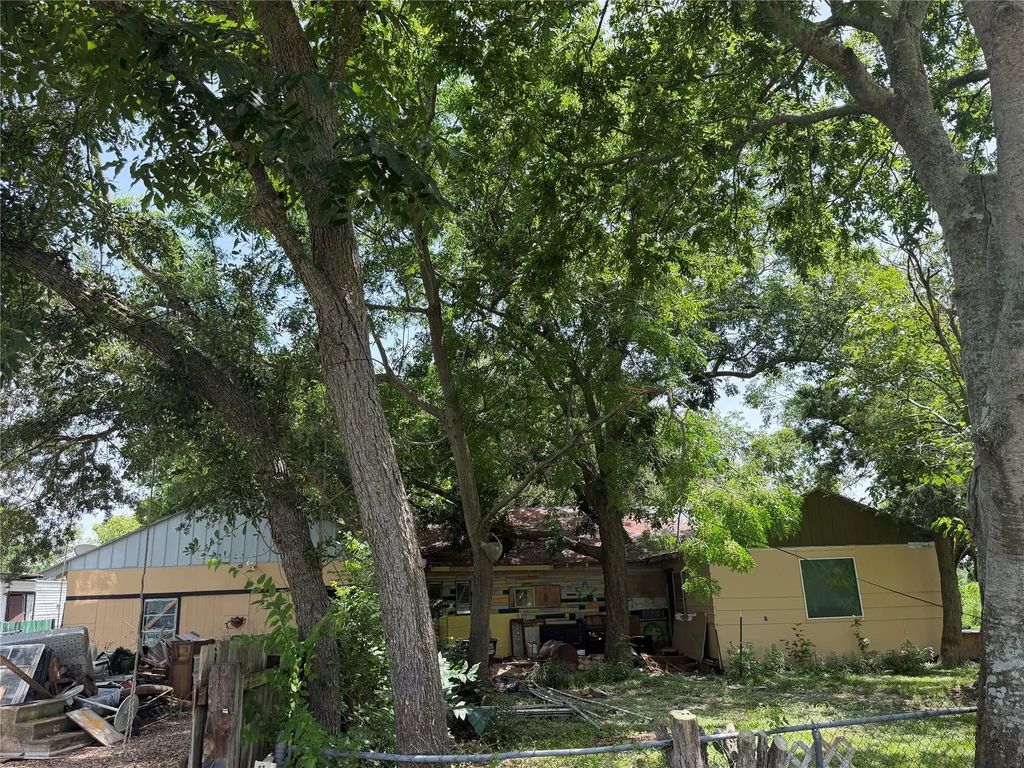 1215 Perryman Avenue, Palacios
