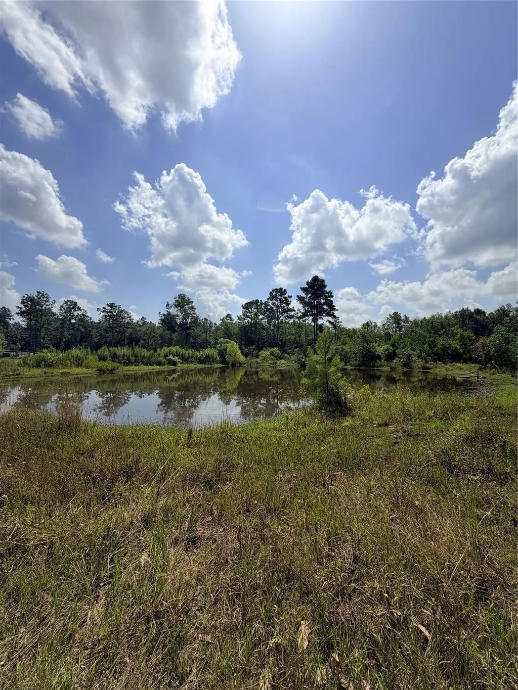 385 County Road 3773, Cleveland