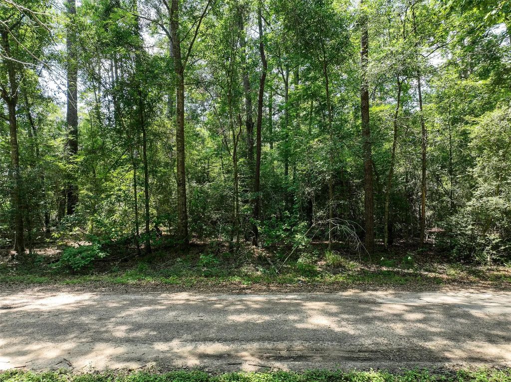 Fairway Dr, New Caney