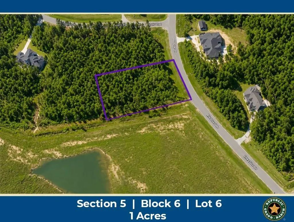 15525 Forest Grove Drive, Willis