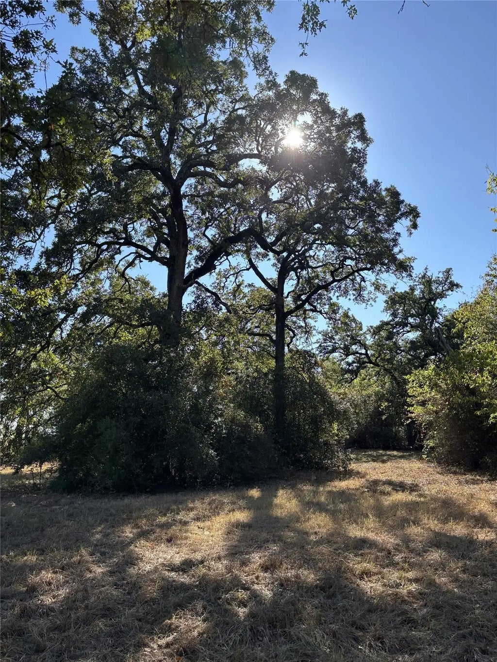 Tbd Cr 163, Caldwell