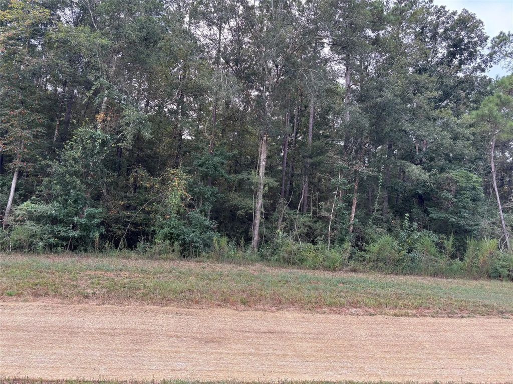 15223 Forest Grove Drive, Willis