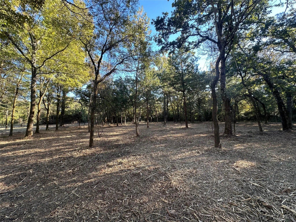 Tr 4 Cr 219, Buffalo