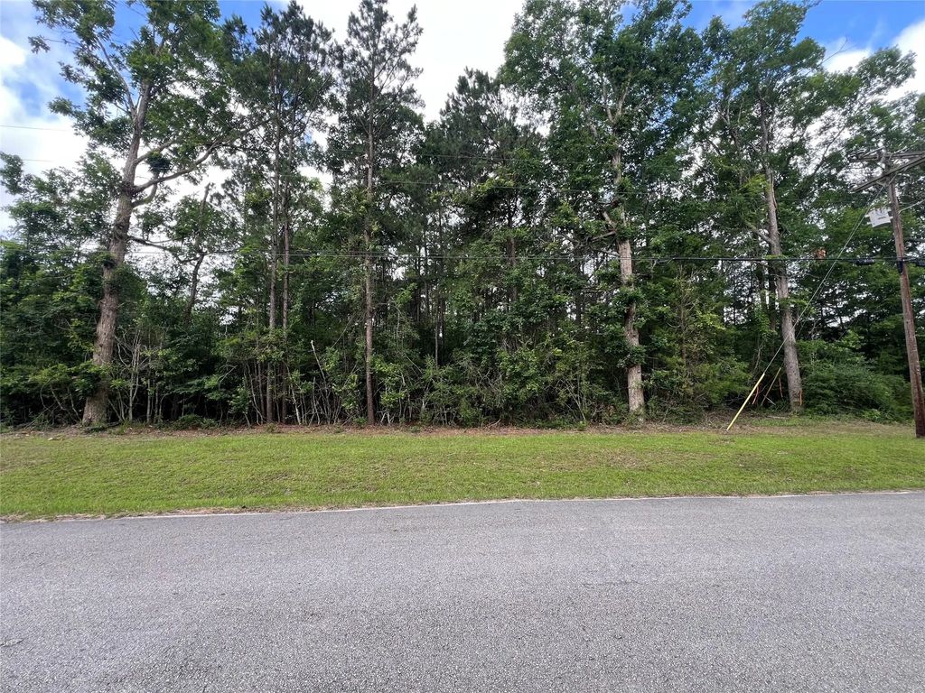 319 Lost Lake Trail, Livingston
