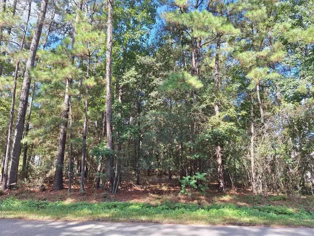 1023 Weisinger Drive, Montgomery