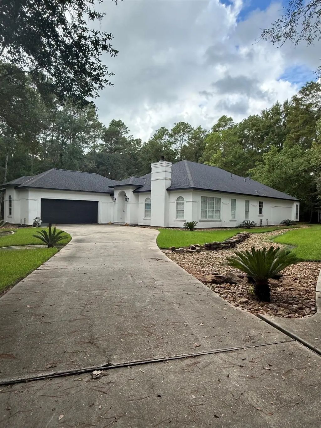 11011 Sea Mist, Magnolia