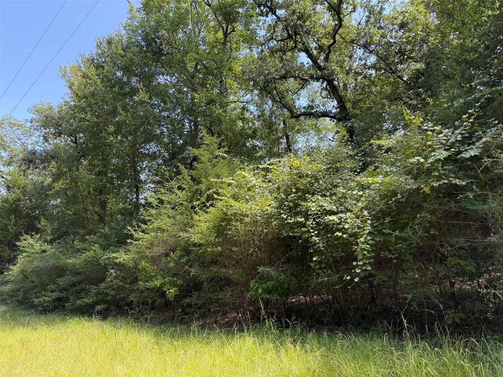 16 Ac Cr 321, Jewett