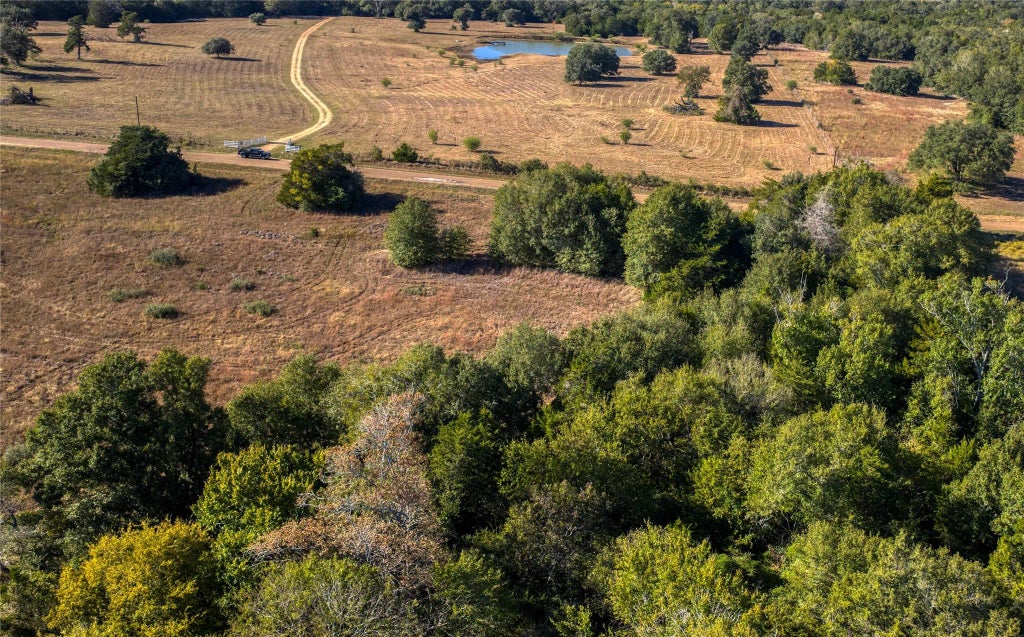 Tbd-1 Greenvine Road, Brenham