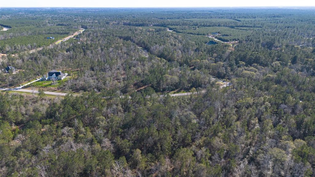 11623 Dawn Tree Lane, Willis
