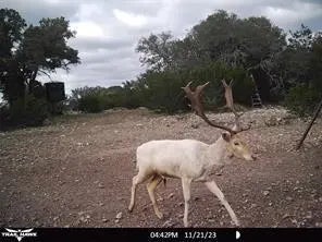 2275 Camino Real Road Nw, Junction