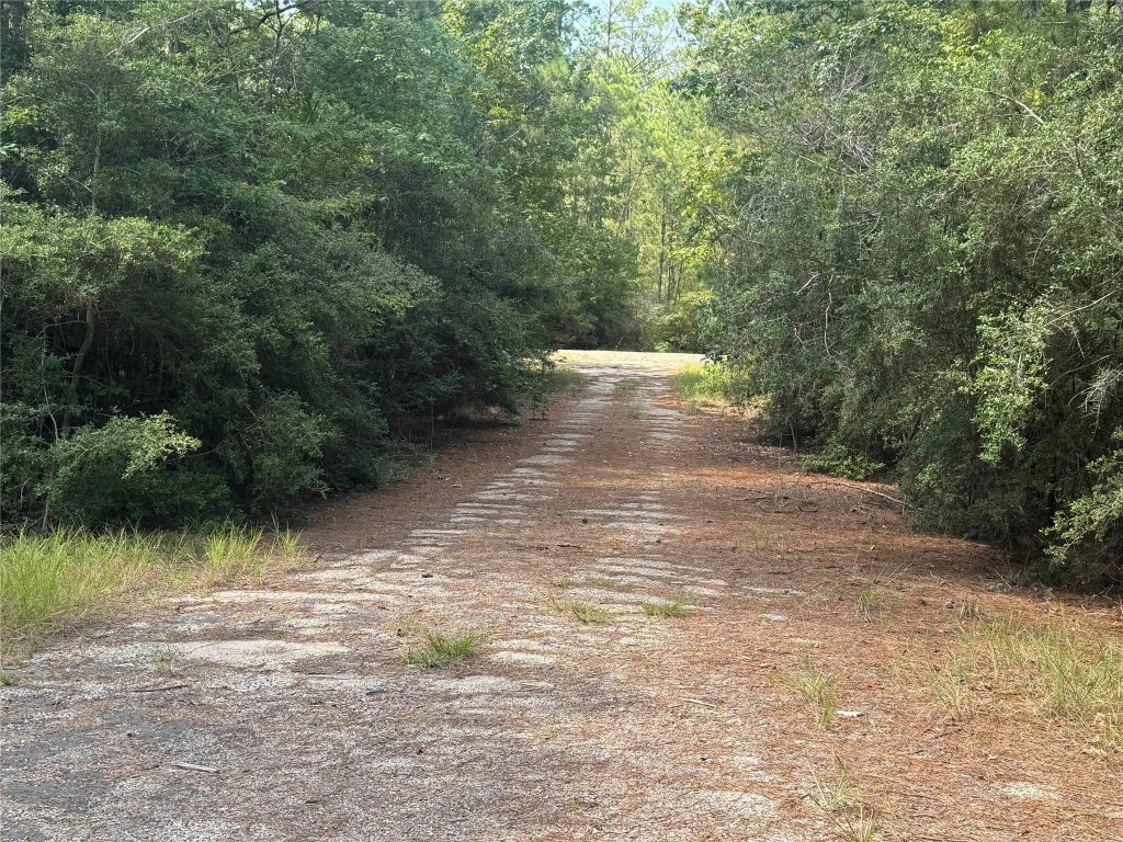 281 Tanoak Lane, Brookeland