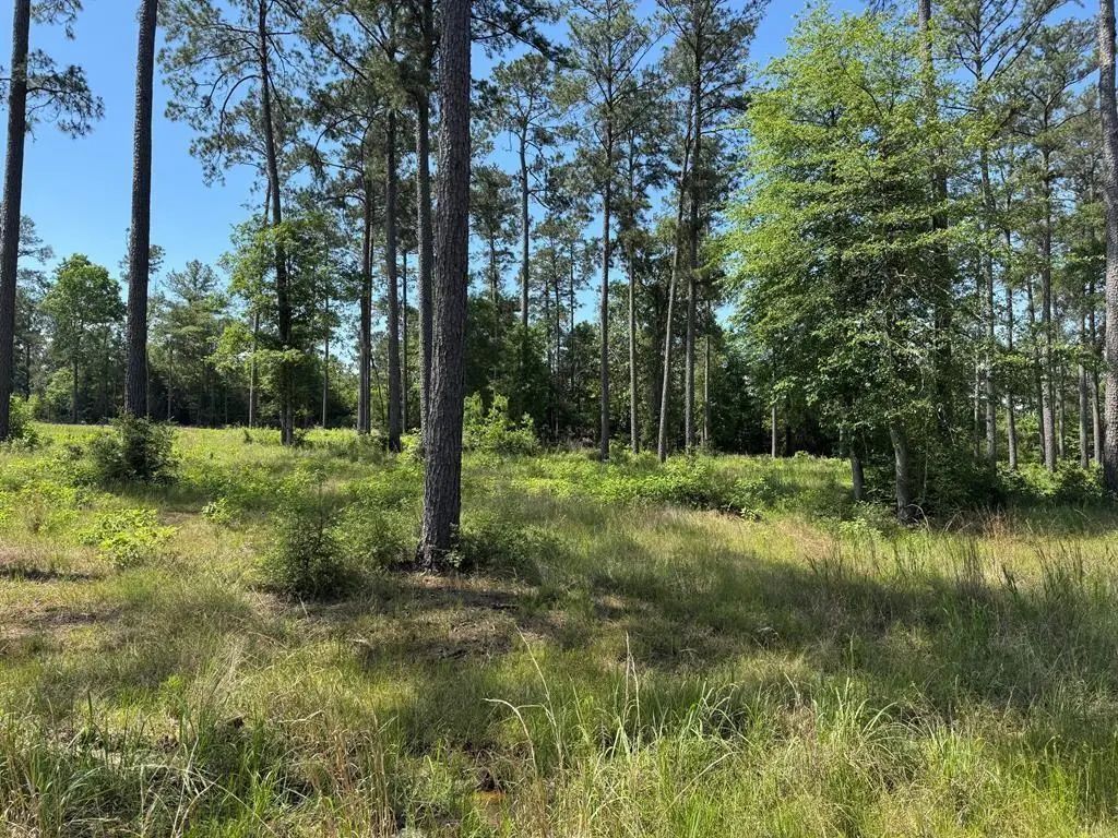 006 Private Road 6028 Tract 1-6, Brookeland