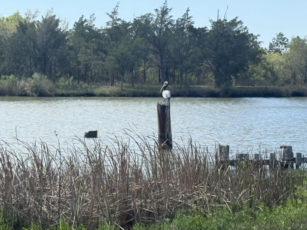 01 W Bayshore Road, Oak Island