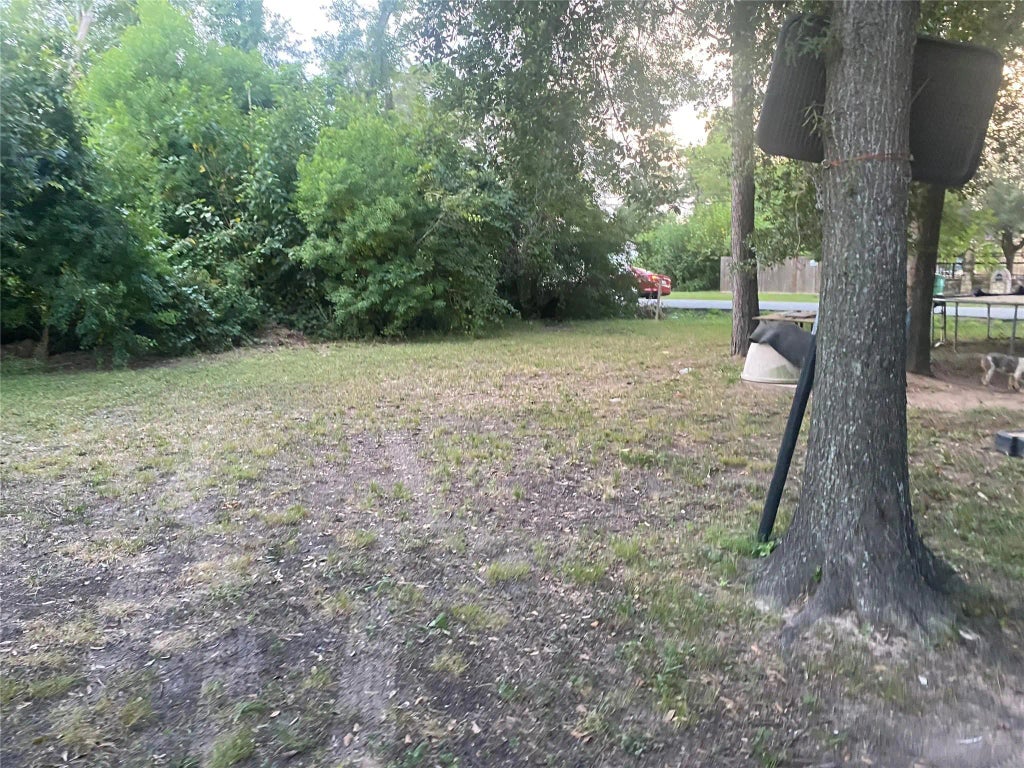 4708 Antha Street, Houston