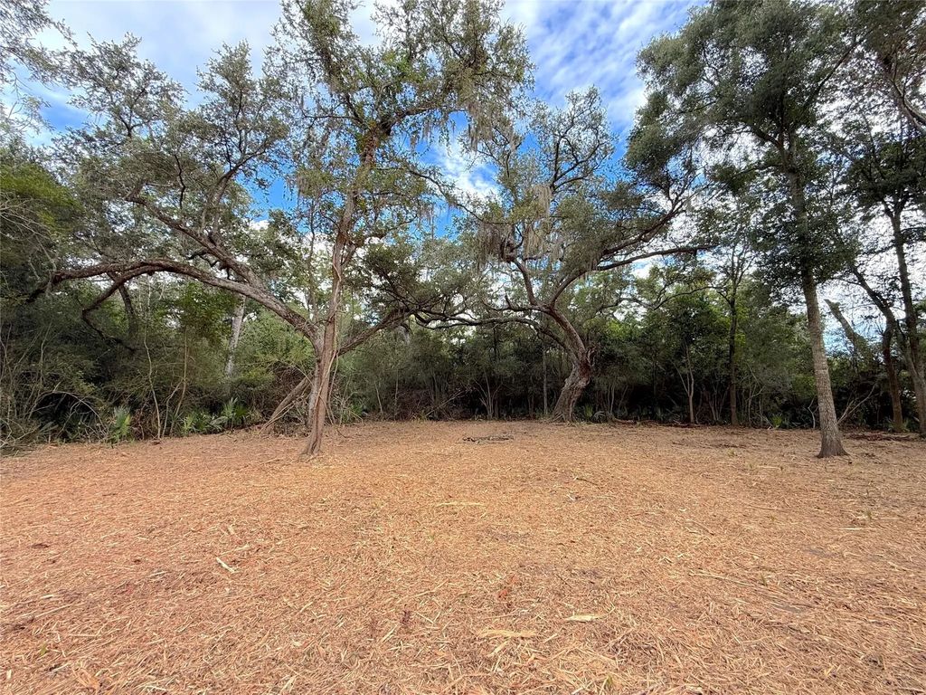 Lot 12a2 Cr 345, Brazoria