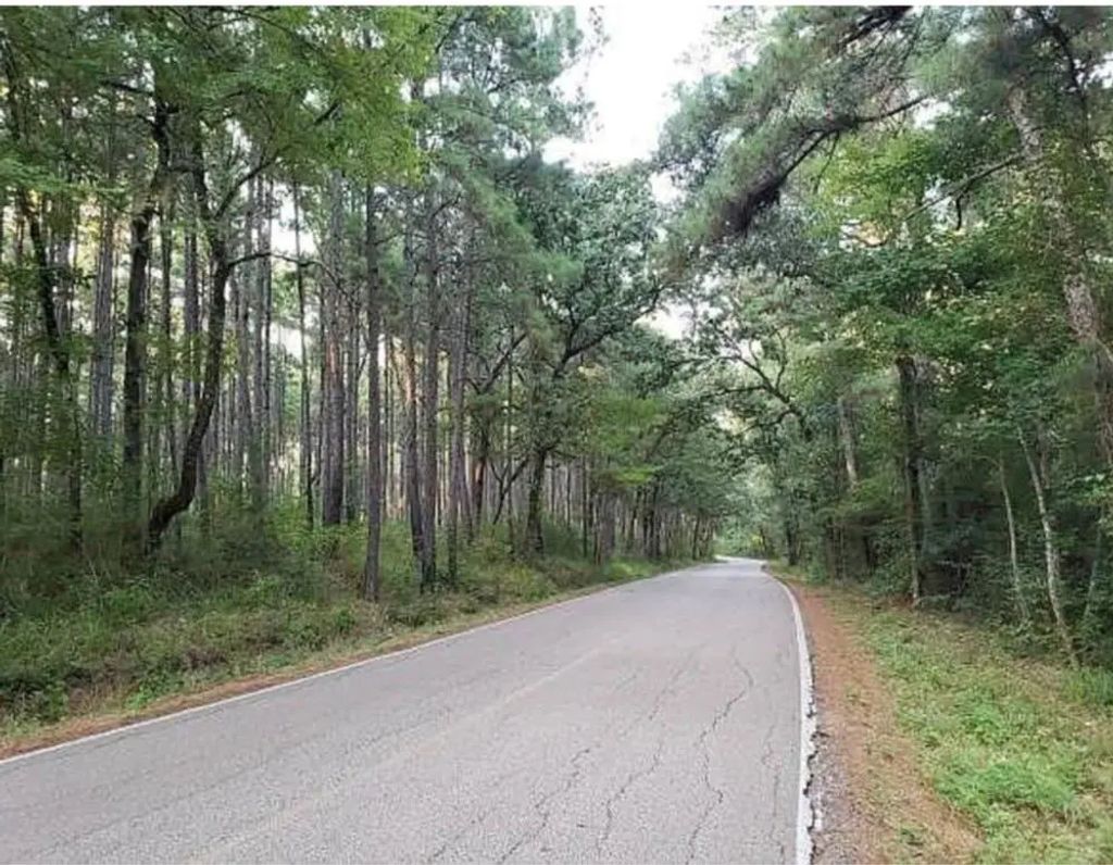 Sycamore Drive, Montgomery