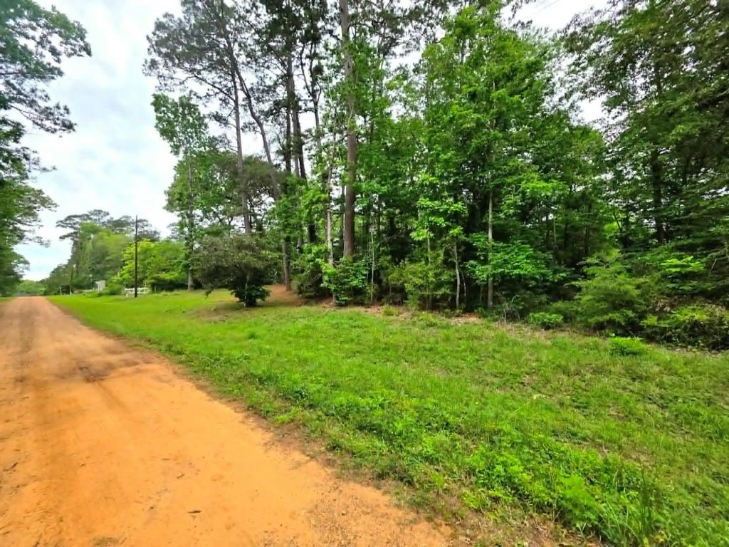 Dogwood Lake Drive, Livingston