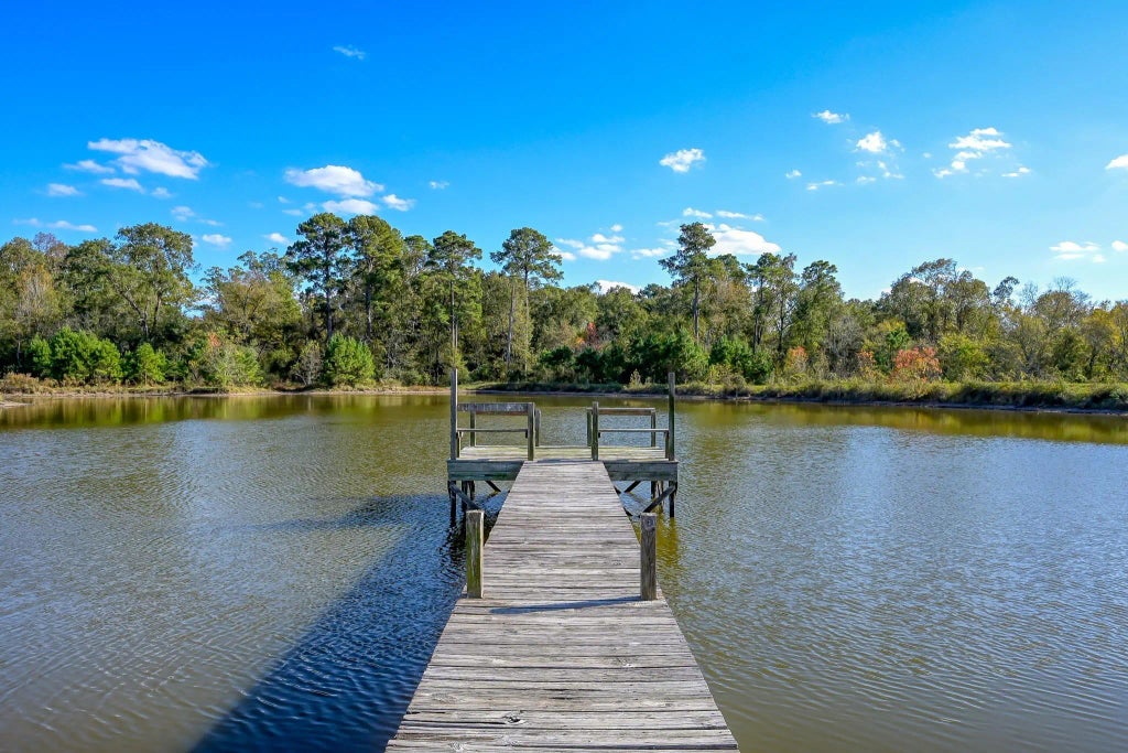 125 Acres Spring Branch Road, Montgomery