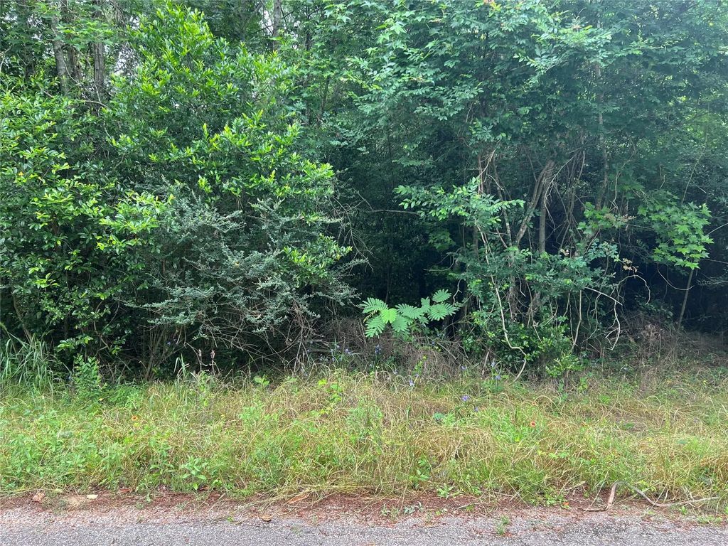 Rollingwood Loop, Conroe