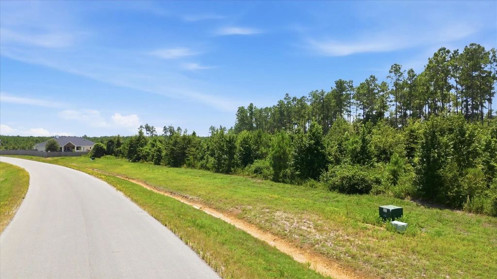 15977 Ridge Oak Road, Willis