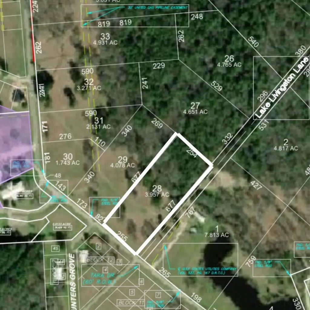 Lot 28 Lake Livingston Lane, Trinity