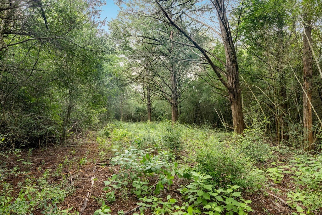 Tbd Homestead Lane, Burton