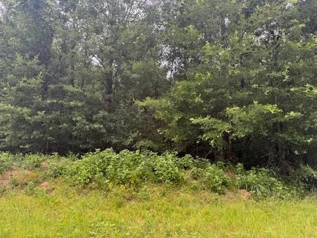 Tbd Deer Trail, Livingston