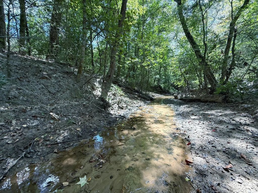 40 Ac Pr 2190, Buffalo