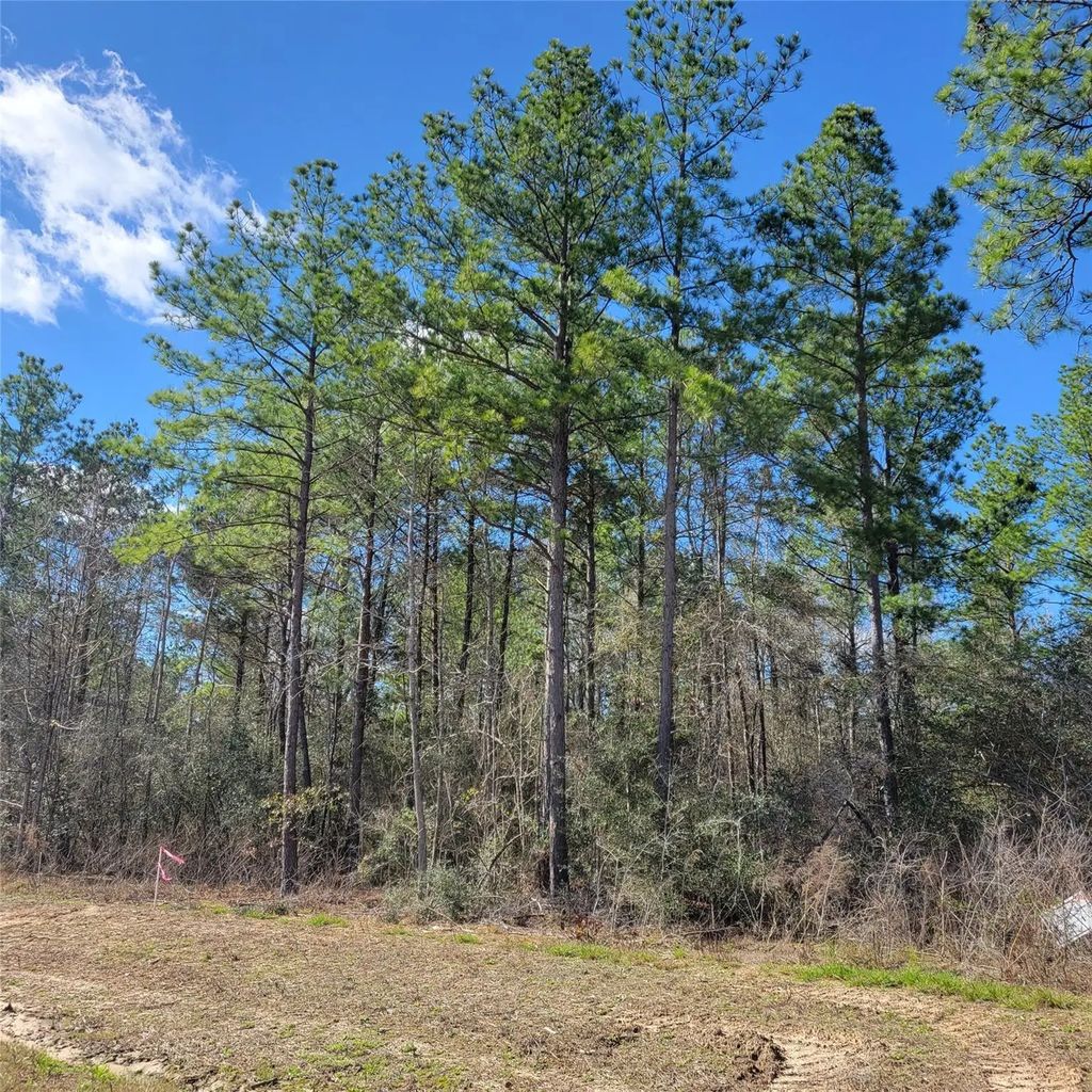 15835 Ridge Rock Road, Willis