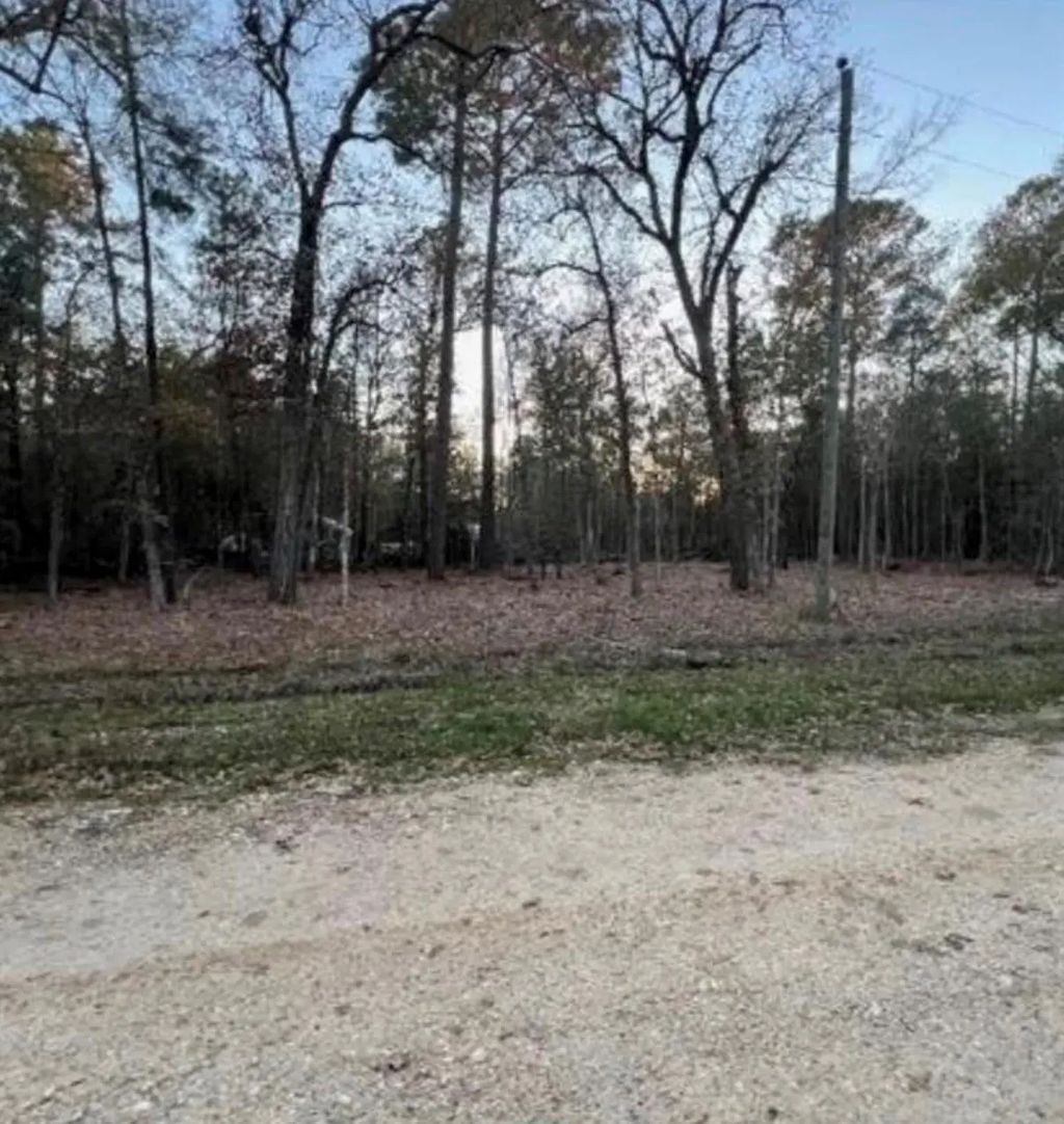 Deer 2 Trail, Livingston