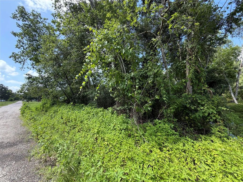 Lot 97 Lost Forest Drive, Guy
